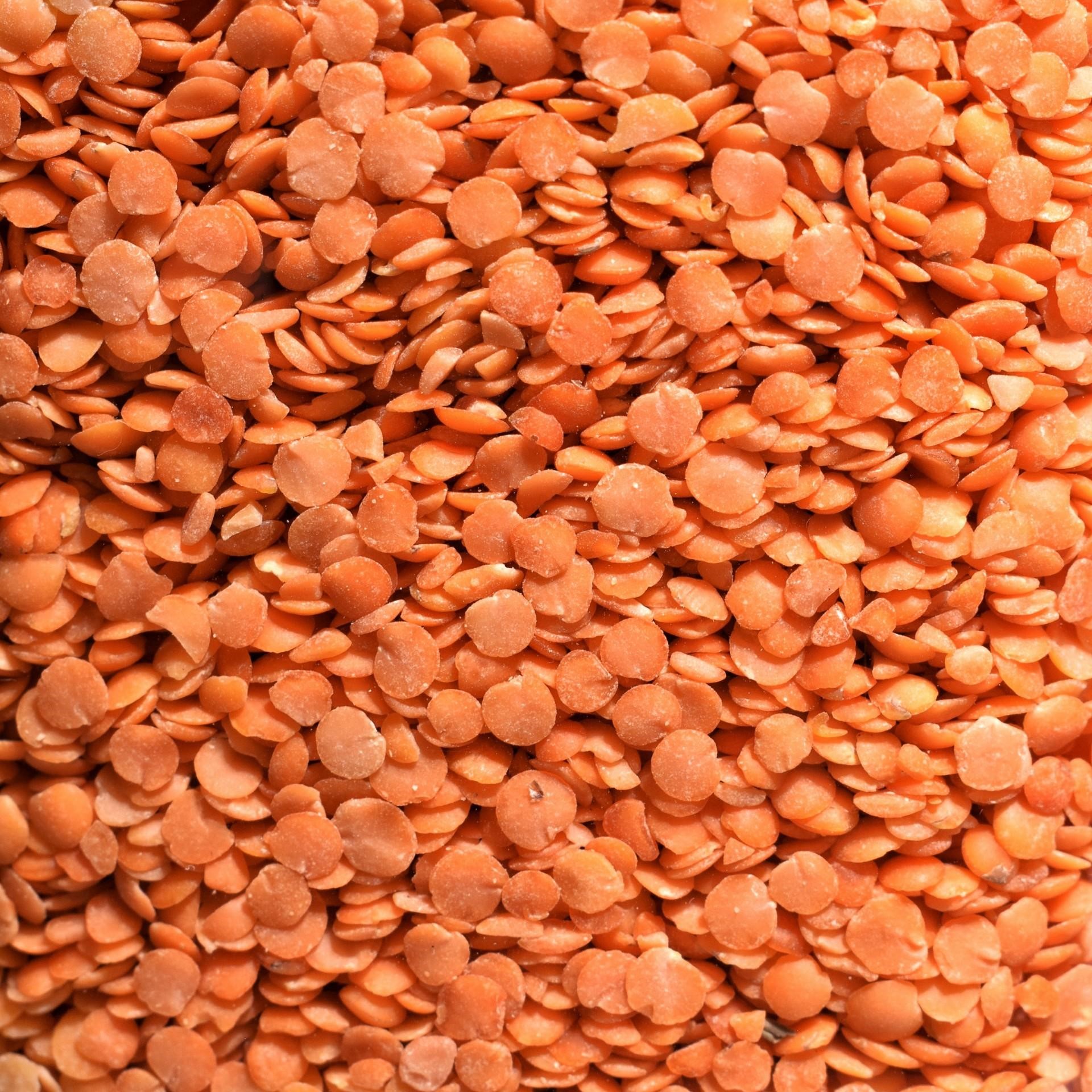 Red Lentils